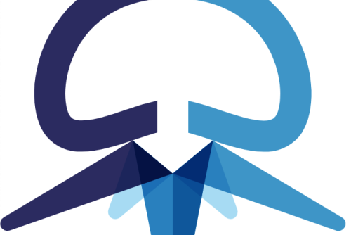 centre expert dos lyon